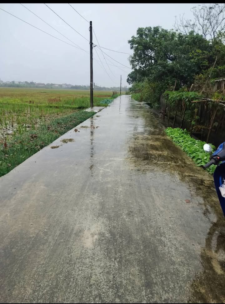 Đất nền Dân Chủ Hưng Hà 133m² - Mặt tiền 6m, pháp lý rõ ràng!