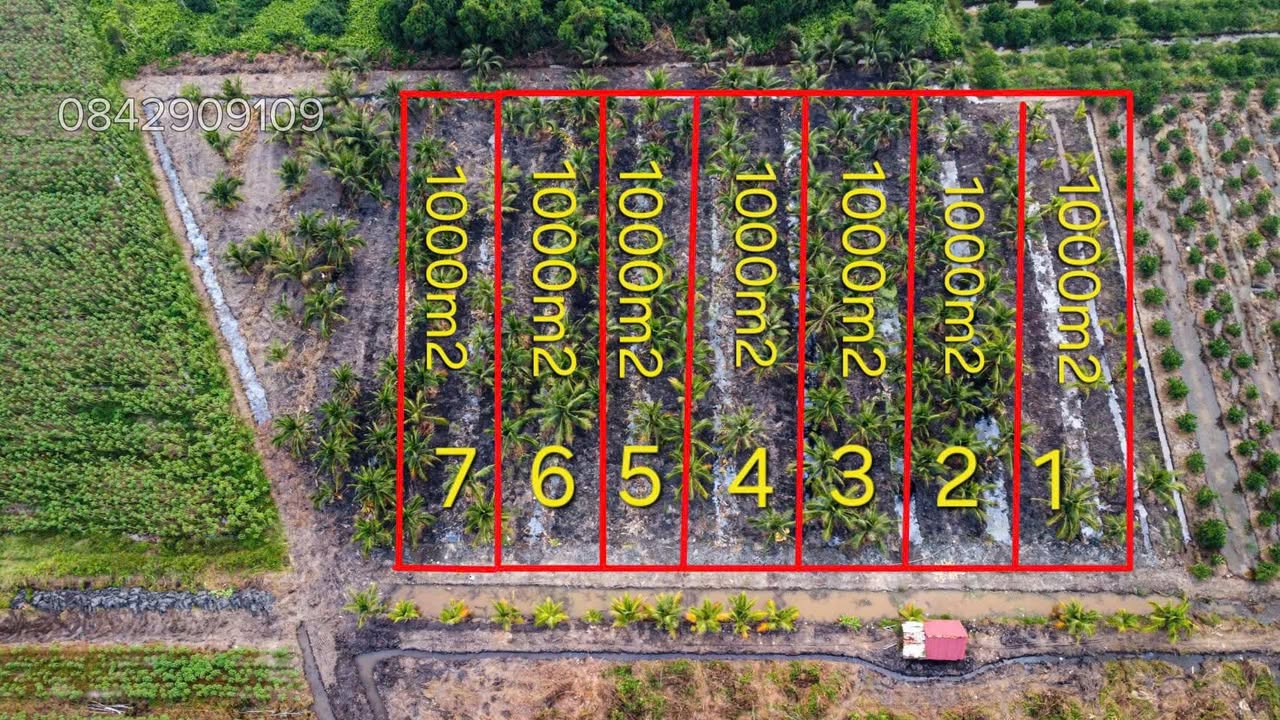 Đất vườn xã Tân Thành, Thủ Thừa 960m² giá 440 triệu - Lợi thế nhà vườn tiềm năng!