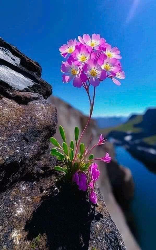 Đất nền liền kề đường 10/3, phường Cư Êbur, Buôn Ma Thuột - Giá từ 2.1 tỷ, tiềm năng đầu tư cao!