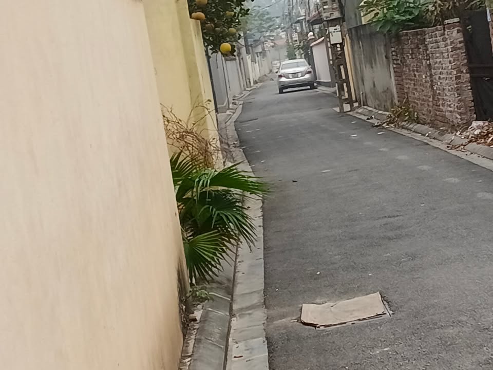 Đất nền Bắc Hồng 101m² giá 7 tỷ - Đầu tư sinh lời tại vị trí đắc địa!