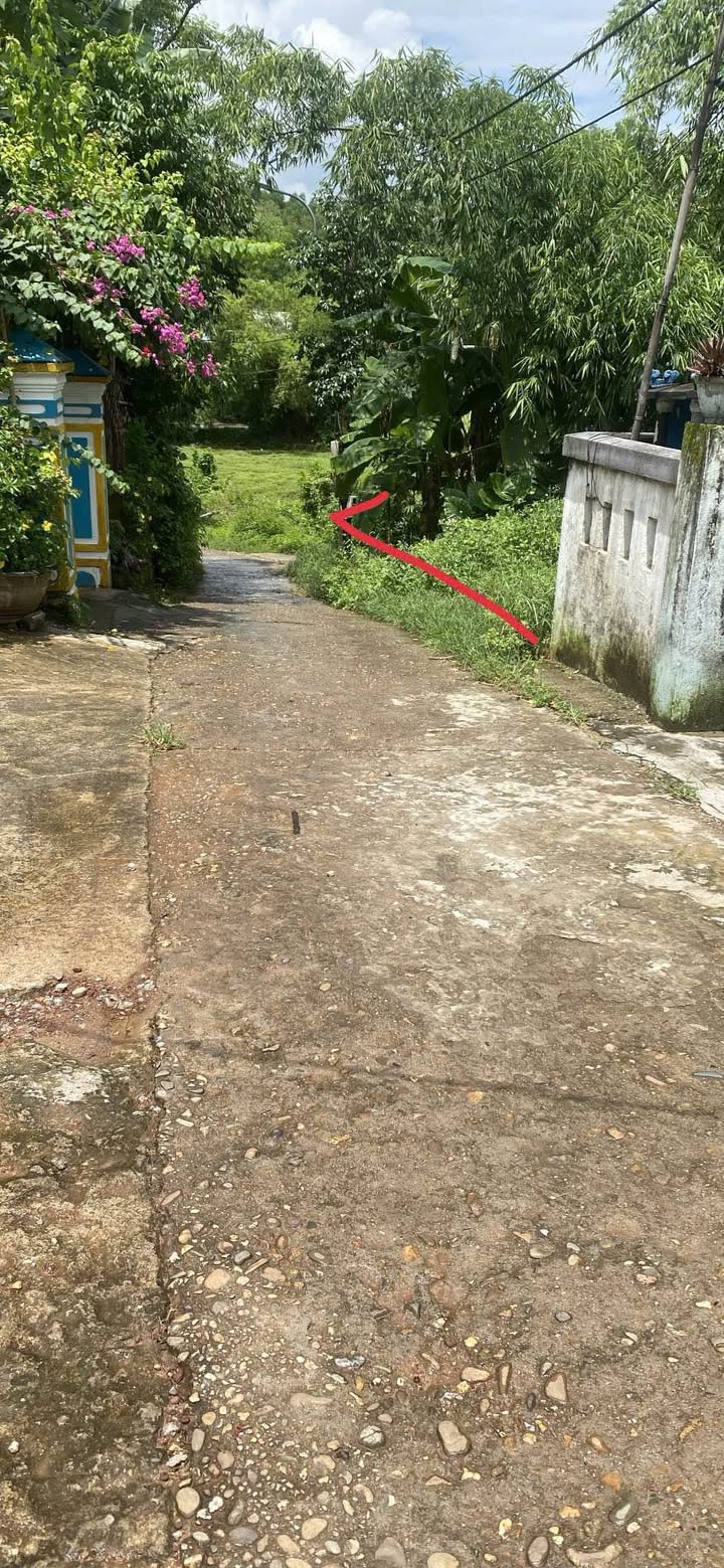 Đất nền Kiệt 80 Minh Mạng, 150m² giá 1.85 tỷ - Cơ hội đầu tư hấp dẫn!