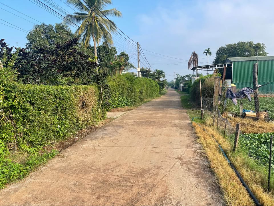 Đất thổ cư Hẻm C1 Đường Phan Văn Đạt 350m² giá 1.279 tỷ - Khu dân cư đông đúc!