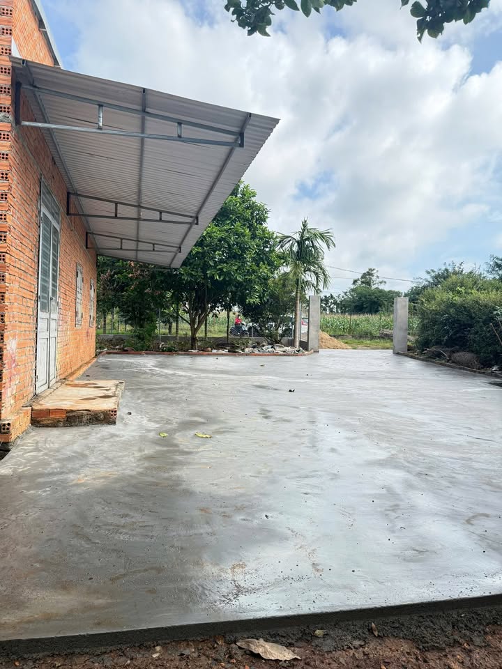 Farm đất vườn Cư Kuin 3.135m² giá 2.25 tỷ - Giảm giá sốc cho khách hàng!