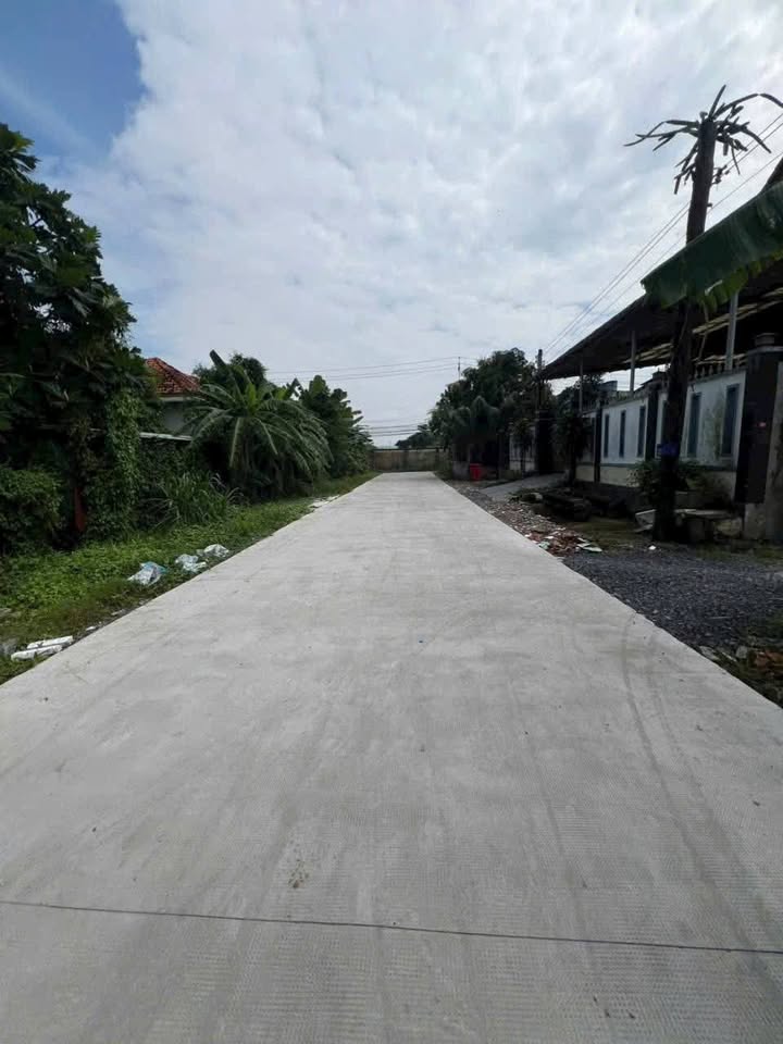 Đất thổ cư Hẻm 203 Quốc Lộ 62, Tân An 150m² giá 2.2 tỷ - Cơ hội đầu tư tuyệt vời!