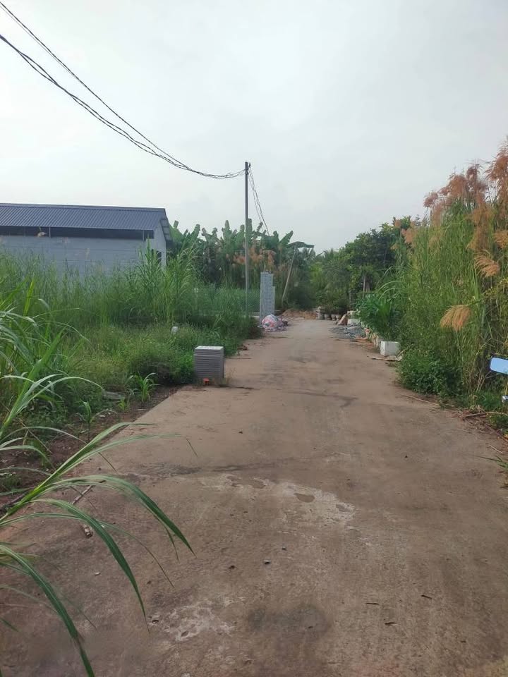 Đất nền 100m² tại An Hội, Bến Tre giá chỉ 230 triệu - Cơ hội đầu tư tuyệt vời!