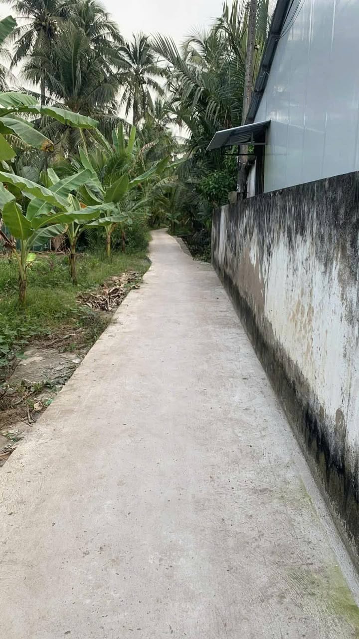 Đất vườn Lương Hòa, Giồng Trôm 3185m² giá 700 triệu - Đầu tư sinh lời ngay!