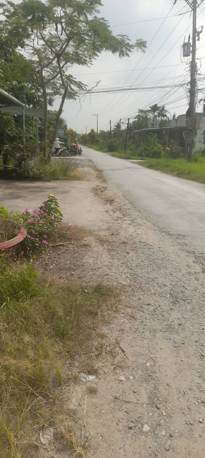 Đất mặt tiền đường 173, xã Phong Nẫm, Giồng Trôm, Bến Tre 199,7m² - Cơ hội đầu tư sinh lời!