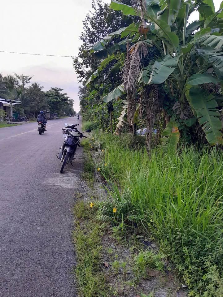 Đất nền mặt tiền 173 Châu Hoà Giồng Trôm 769m² giá 1.7 tỷ - Cơ hội đầu tư tuyệt vời!