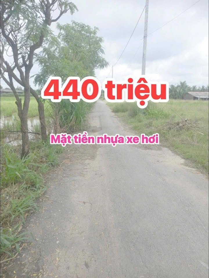 Đất nền Gò Công Đông 160m² giá 440 triệu - Sẵn sàng đầu tư!