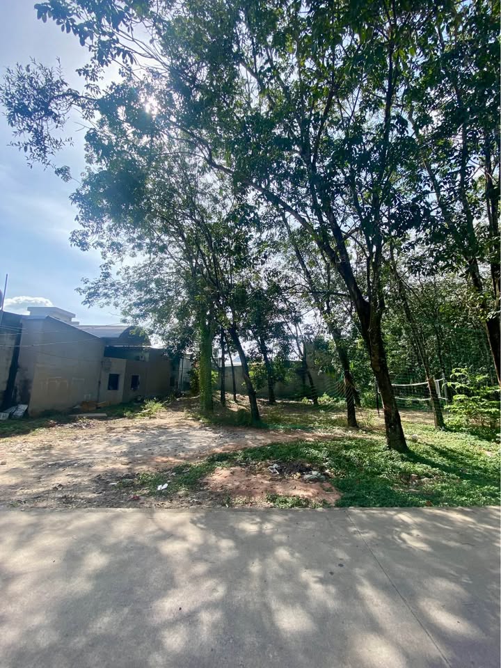 Đất nền Phú Chánh, Tân Uyên 152m² giá 1.824 tỷ - Đầu tư sinh lời ngay!