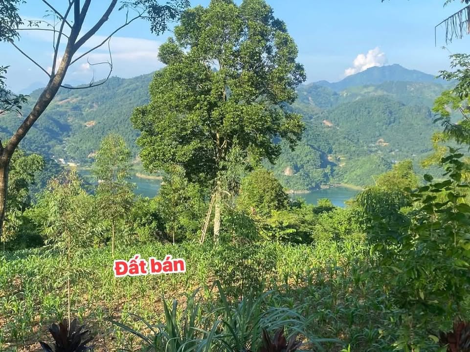 Đất farm 1000m² tại Hiền Lương, Đà Bắc - View đẹp, giá thỏa thuận!
