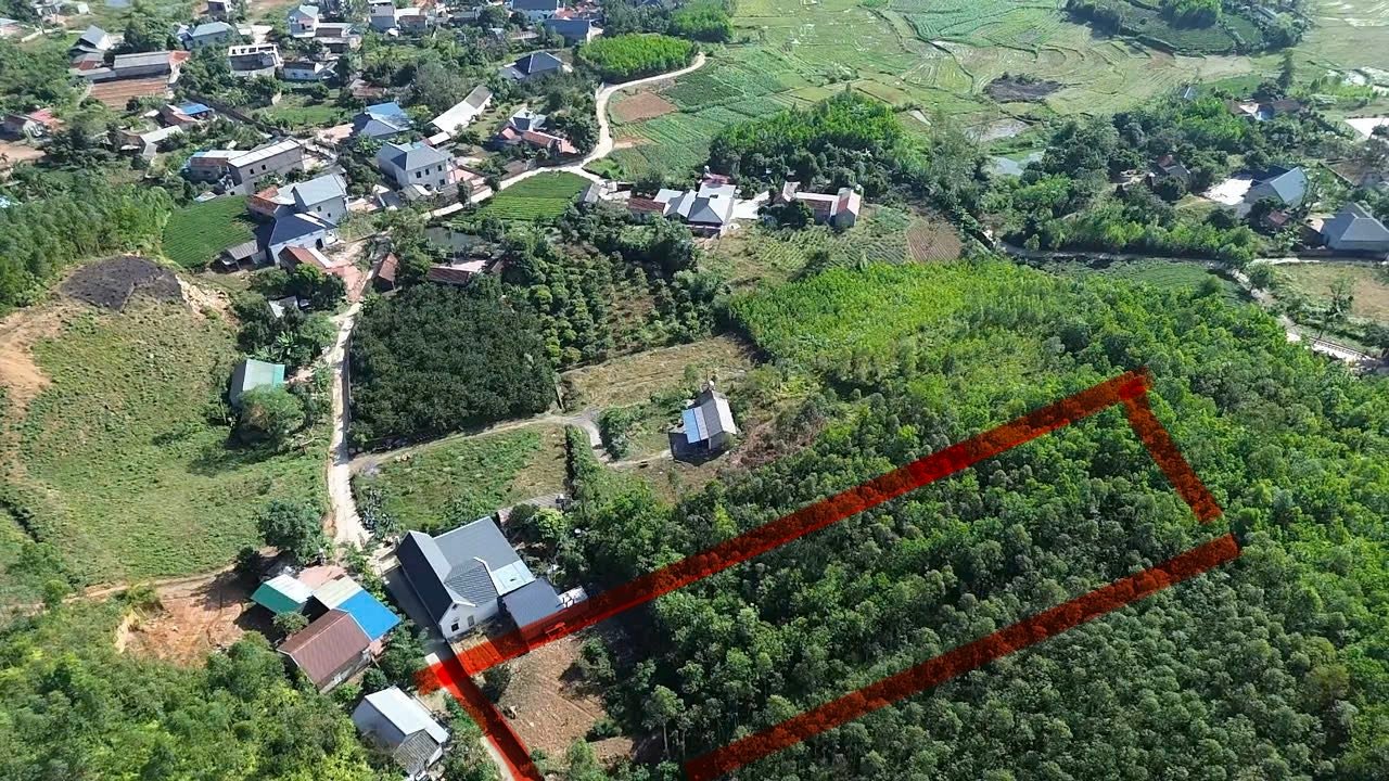 Đất trồng cây lâu năm 3.500m² tại Thành Công, Phổ Yên - Cơ hội đầu tư hấp dẫn!