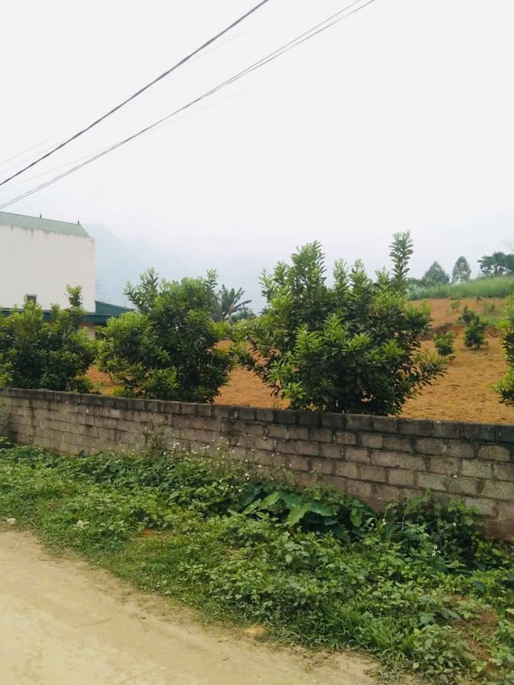 Đất Lỗ Sơn, Tân Lạc, Hòa Bình 500m² giá 450 triệu - Cơ hội đầu tư hấp dẫn!