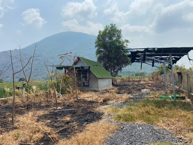 Đất nền chính chủ 600m² tại Phường Ninh Sơn, Tây Ninh - Giá chỉ 500 triệu!