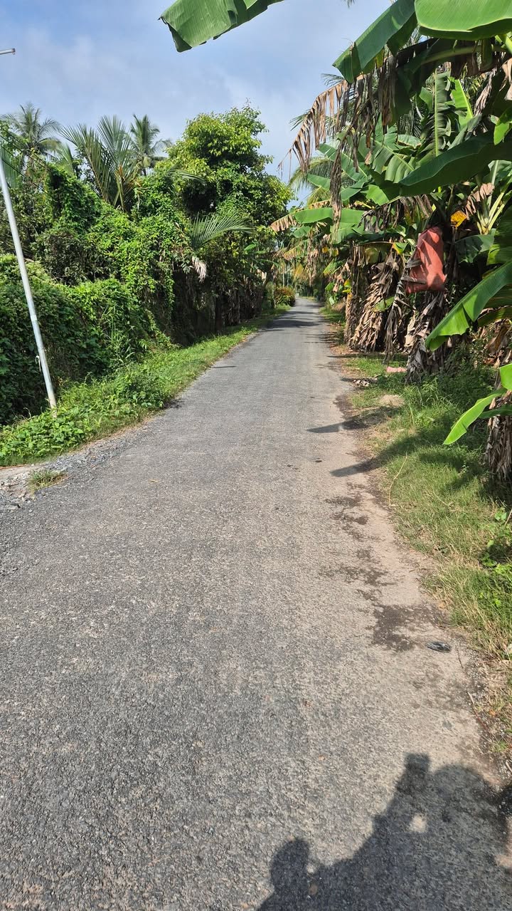 Đất thổ cư 250m² xã Long Phú, huyện Tam Bình chỉ 450 triệu - Cơ hội đầu tư tuyệt vời!