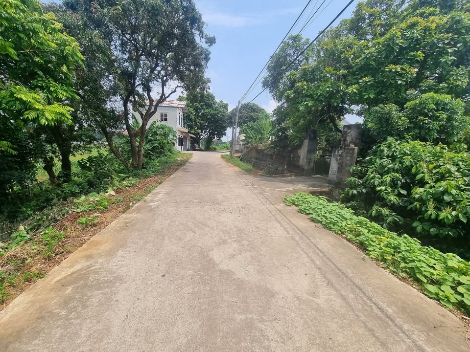 Đất nền mặt đường DH19, xã Phú Cát, 483m² giá 7 tỷ - Cơ hội đầu tư độc quyền!