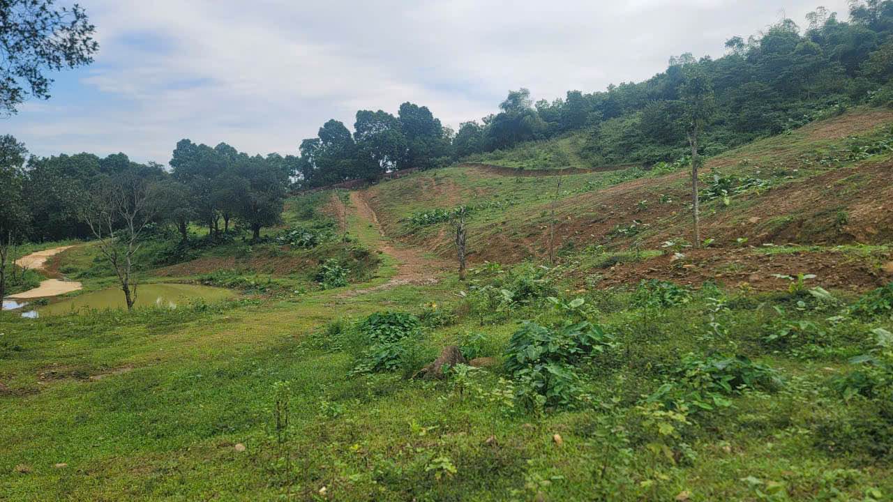 Đất nghỉ dưỡng 5800m² Kim Bôi chỉ 5.8 tỷ - Đón đầu tiềm năng từ SunGroup!