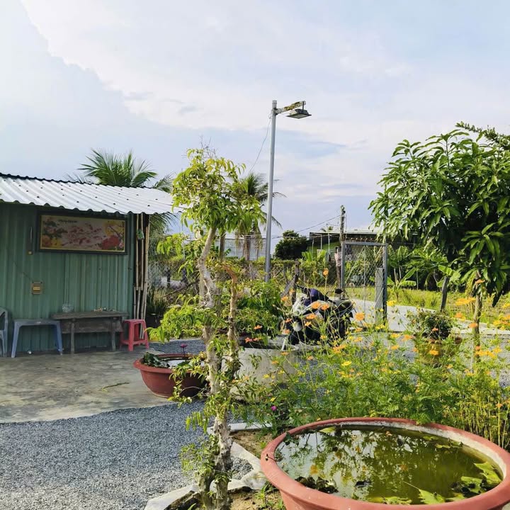 Nhà vườn Phan Rang 805m² giá 850 triệu - Cơ hội sở hữu khu vườn tuyệt đẹp!