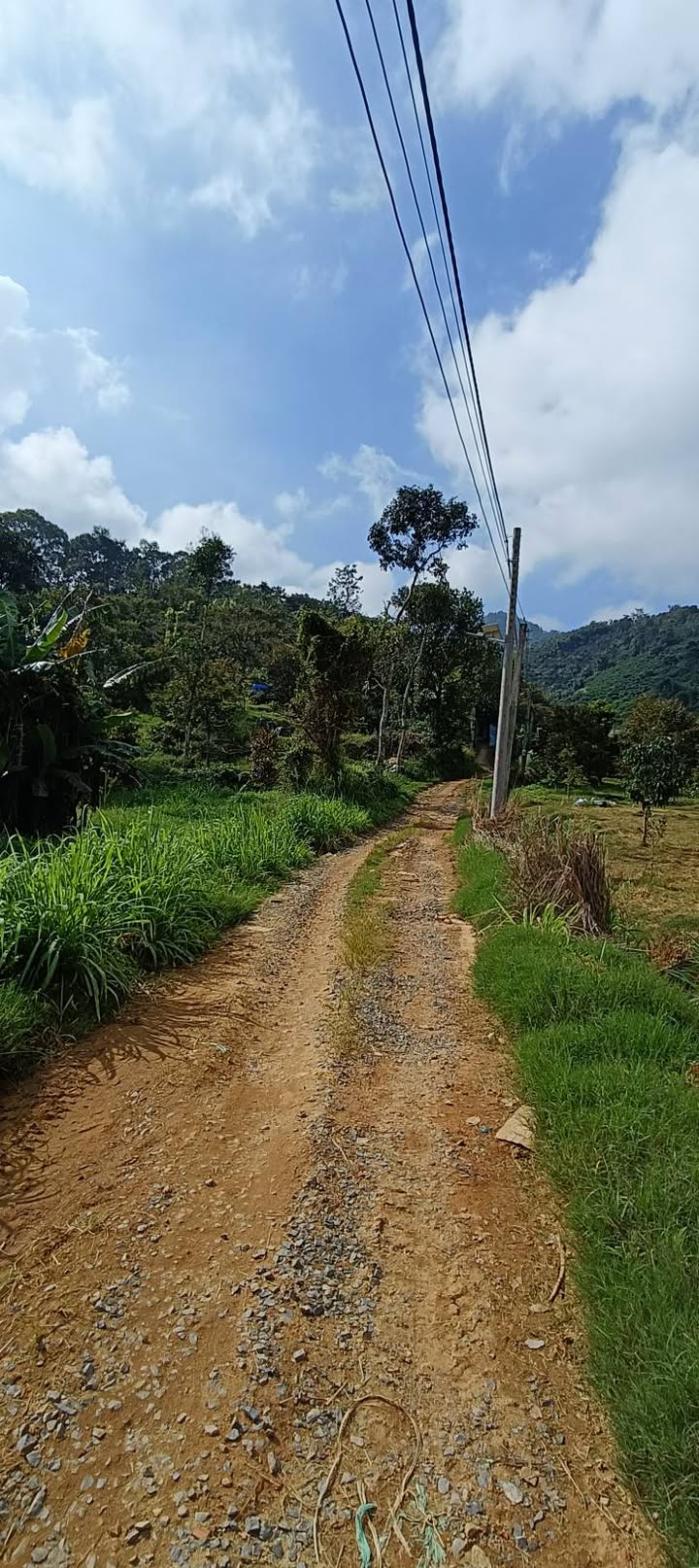 Đất thổ cư Lộc Nam Bảo Lâm 3600m² giá chỉ 530 triệu - Cơ hội đầu tư tuyệt vời!