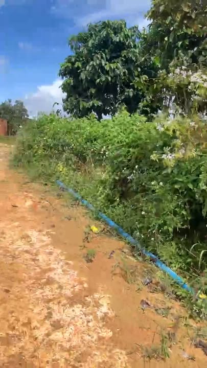 Đất nông nghiệp Đạ Đờn, Lâm Hà 12791m² giá chỉ 2.35 tỷ - Cơ hội đầu tư sinh lời!