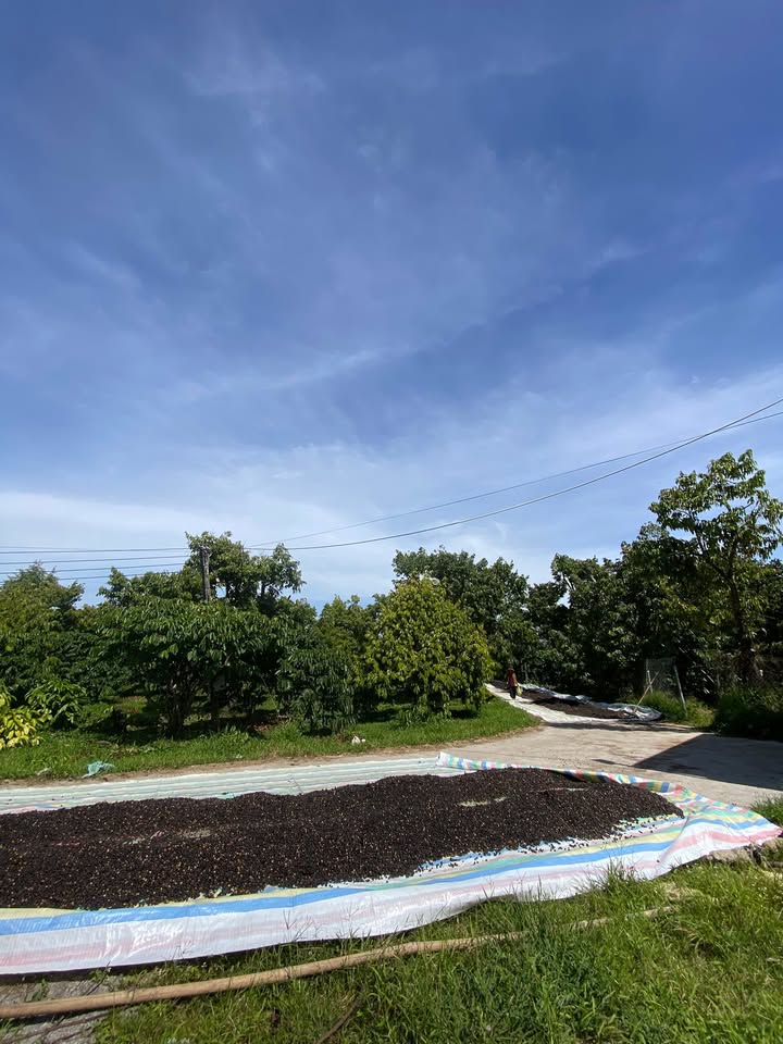 Đất ở Lộc Thành 295m² giá 2.05 tỷ - Lô góc ngay sát Quốc lộ 55!