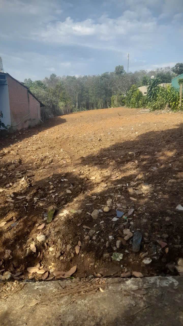 Đất nền mặt tiền Triệu Quang Phục 1100m² giá 3.8 tỷ - Cơ hội đầu tư tuyệt vời!