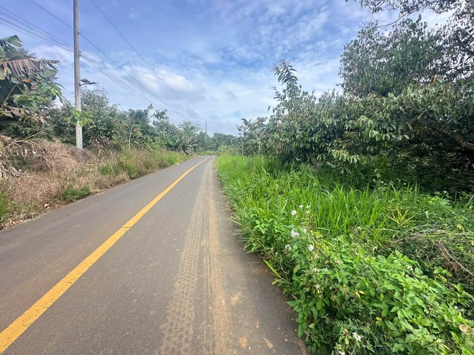 Đất nền Hòa Nam, Di Linh 2988m² giá 2.4 tỷ - Cơ hội đầu tư tuyệt vời!