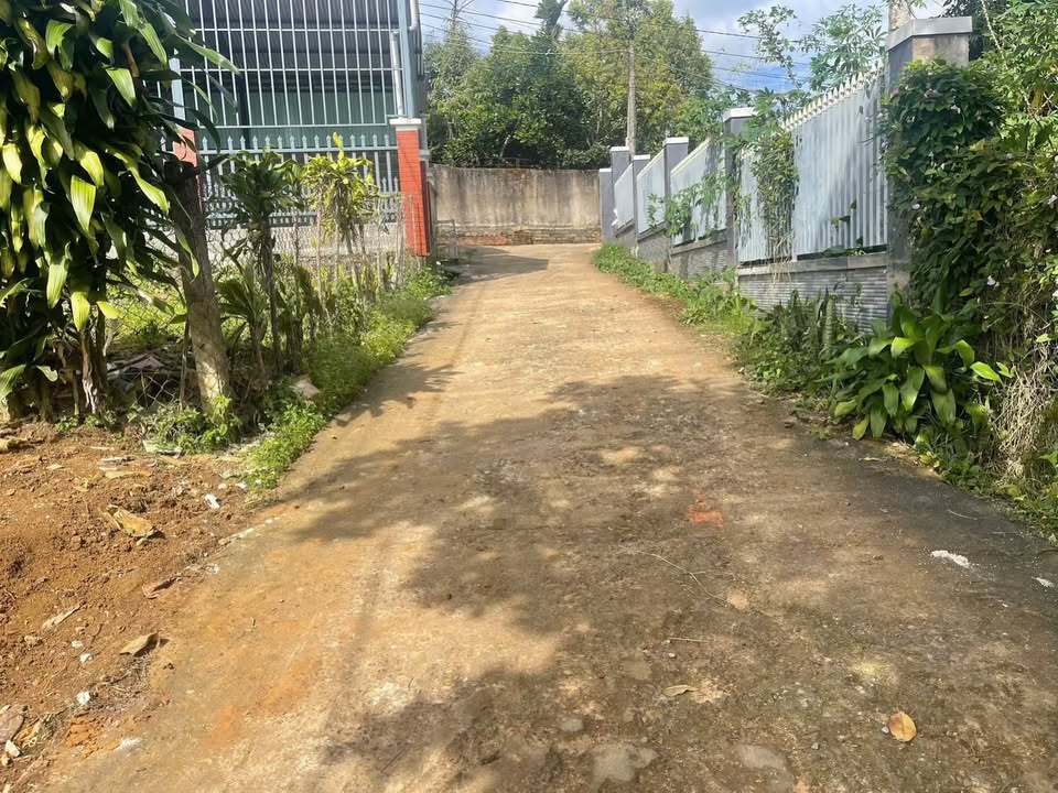 Đất nền Bảo Lộc 1100m² giá 3.8 tỷ - Chính chủ bán gấp!