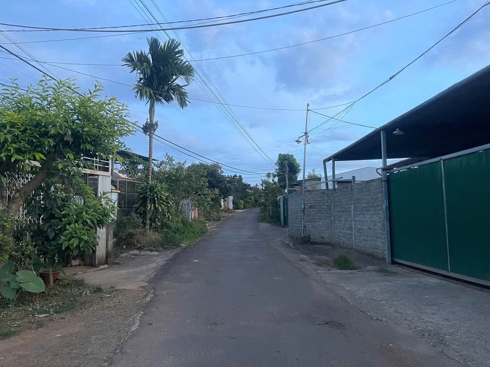 Đất mặt tiền đường nhựa Lộc An 250m² giá 1.35 tỷ - Cơ hội đầu tư tuyệt vời!