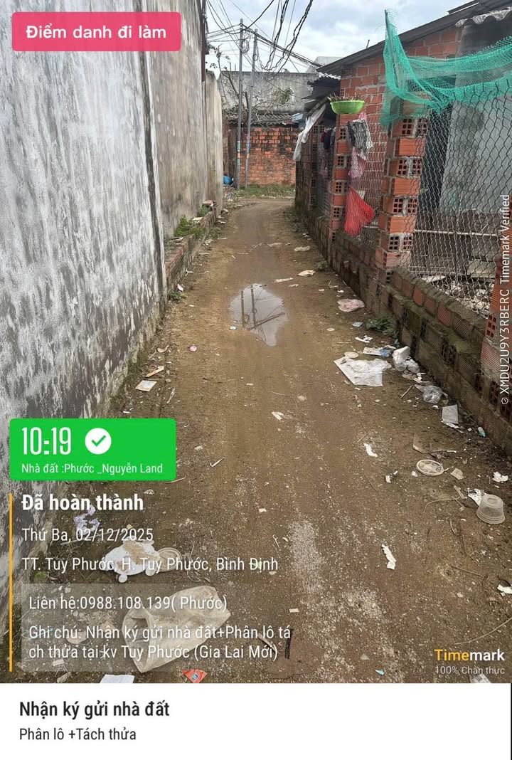 Đất nền Tuy Phước 98m² giá 600 triệu - Chủ cần bán gấp!