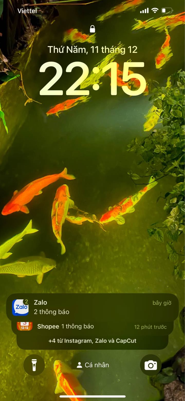 Đất nền lô góc 100m² Phường Bình Định giá thỏa thuận - Cơ hội đầu tư hấp dẫn!