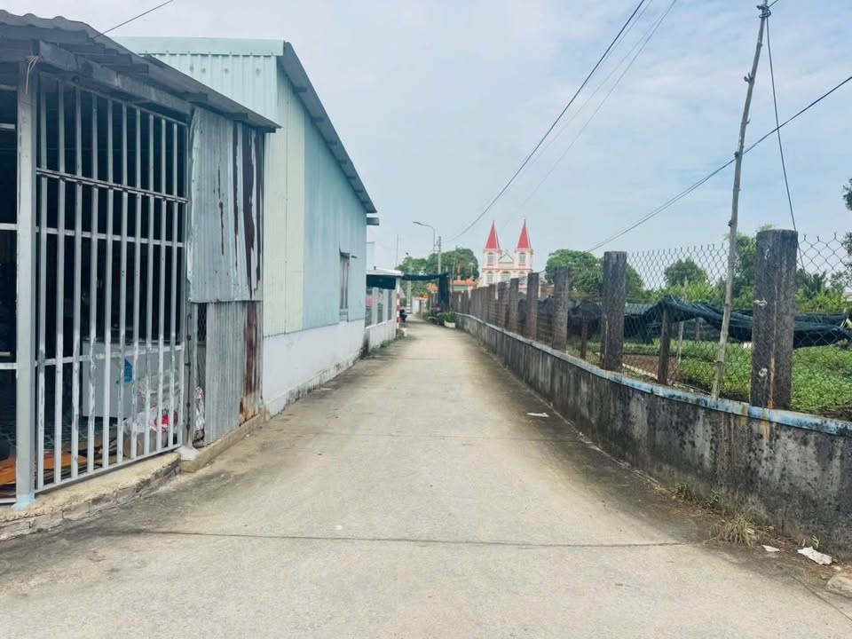 Đất Lúa 2.000m² tại Mỹ Lộc, Cần Giuộc chỉ 800 triệu - Đầu tư sinh lời ngay!