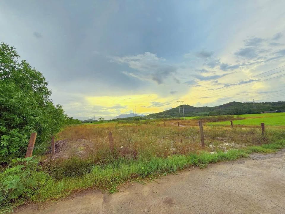 Đất nền Diên Thọ, Diên Khánh 1500m² giá 1.19 tỷ - Sổ hồng chính chủ, nhanh tay sở hữu!