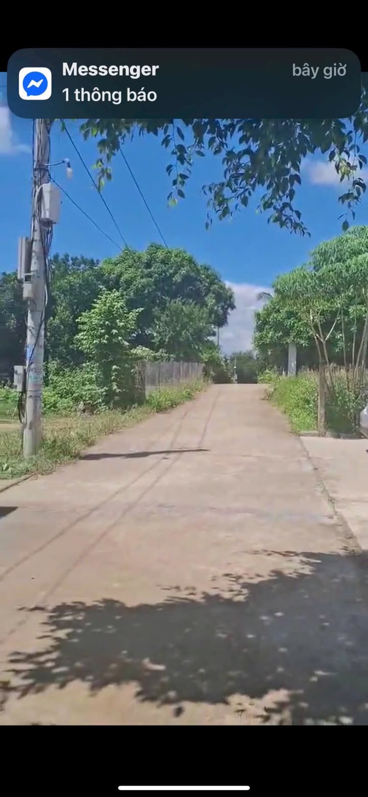 Nhà cấp 4 Diên Lâm 229.9m² giá 799 triệu - Môi trường sống thân thiện!