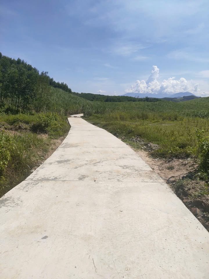 Bán lô đất vườn Khánh Nam 2000m² giá chỉ 450 triệu - Mặt tiền đường ô tô