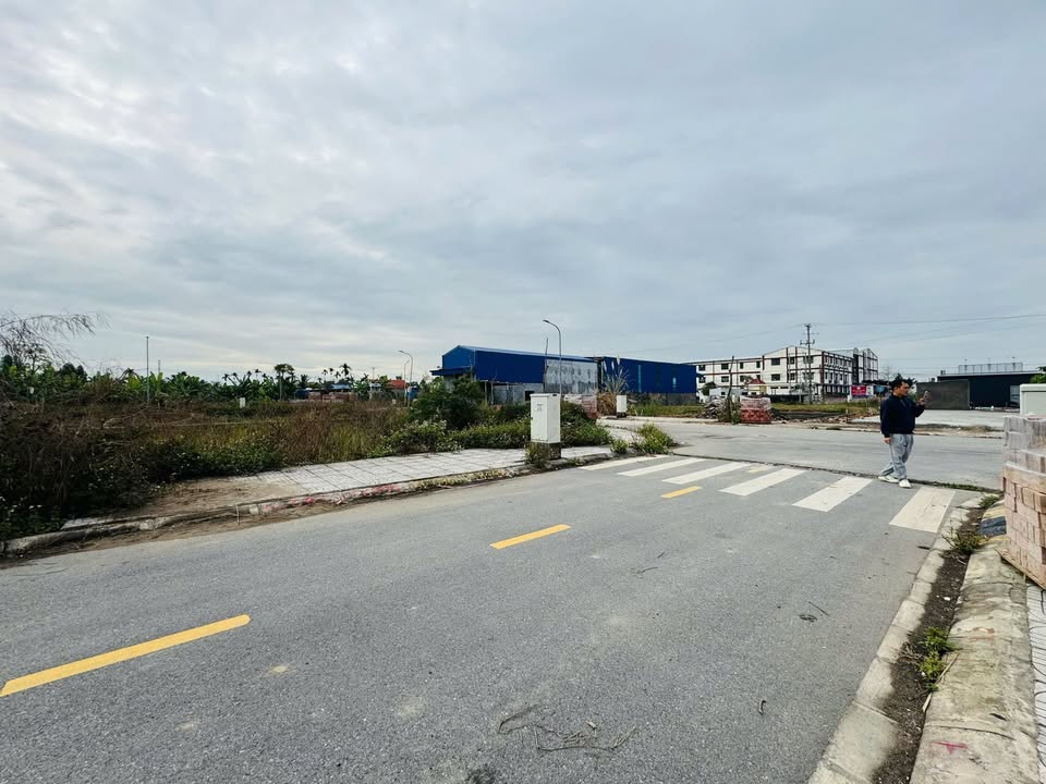 Đất đấu giá Ngũ Lão, Thủy Nguyên 146m² giá 3.9 tỷ - Cơ hội đầu tư tuyệt vời!