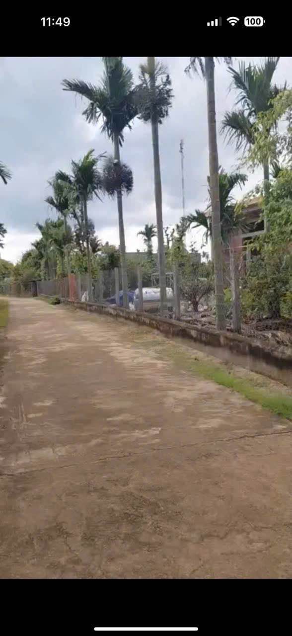 Đất nền trung tâm phường Ea Kao 165m² giá chỉ 600 triệu - Đầu tư sinh lời ngay!