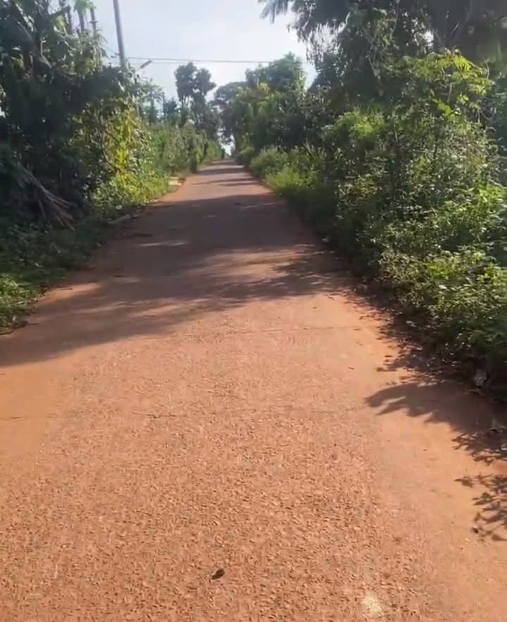 Đất nền Cư Suê Cư M'gar 110m² giá 365 triệu - Cơ hội đầu tư hấp dẫn!