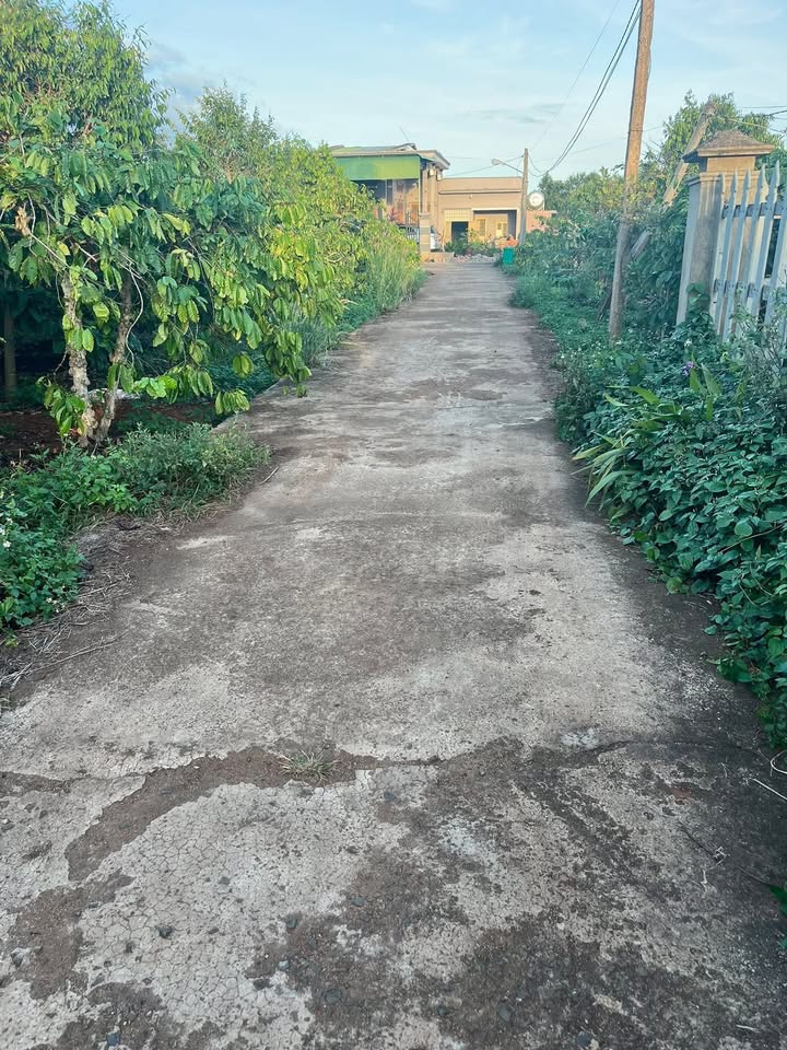 Đất nền mặt bê tông Eahleo 550m² giá 210 triệu - Cơ hội đầu tư hấp dẫn!