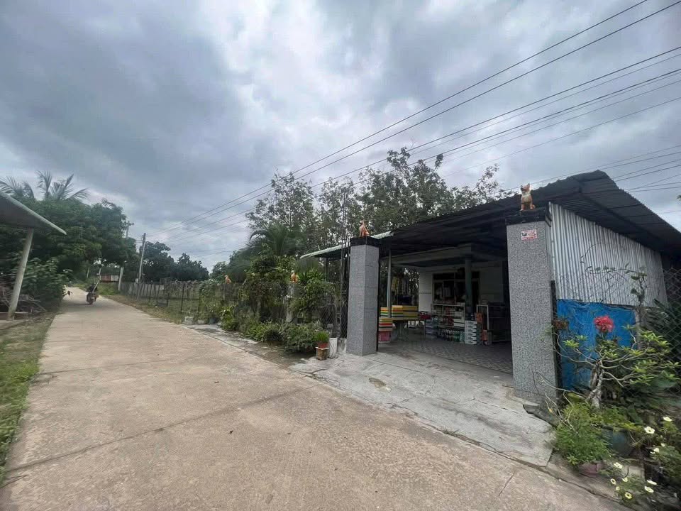 Đất thổ cư 450m² tại Thanh An, Cần Giờ - Giá chỉ 1 tỷ!