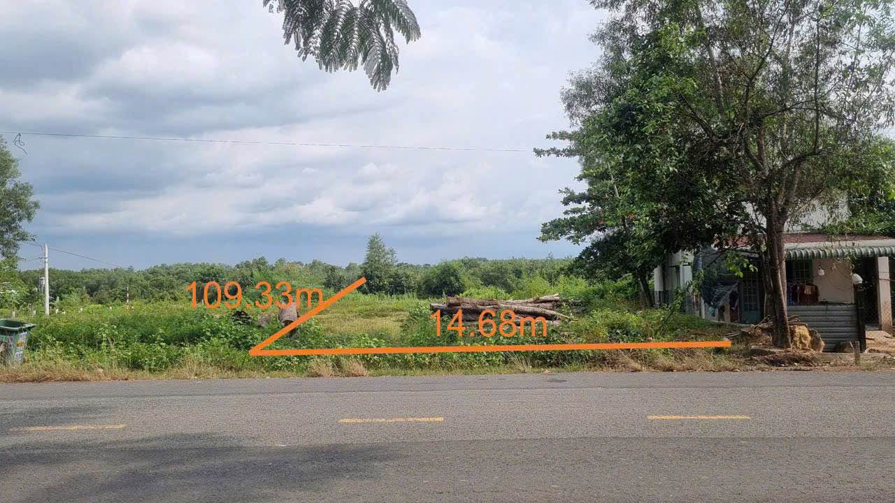 Đất mặt tiền đường Bến Chà Vi, Bến Cát 1845m² chỉ 5 tỷ - Sổ hồng chính chủ