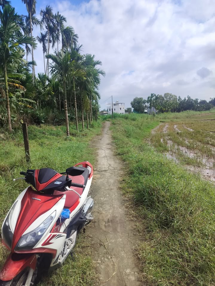 Đất Nghĩa Điền, Tư Nghĩa 735m² giá 600 triệu - Sẵn sàng xây dựng ngay!