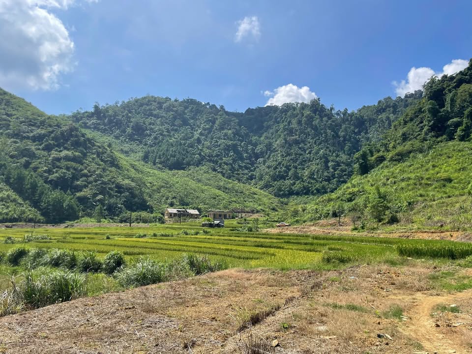 Đất nền Vân Sơn Mộc Châu 2.997m² giá 5.994 tỷ - Cơ hội đầu tư hiếm có!