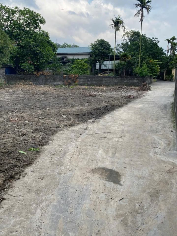 Đất nền Mạo Khê Đông Triều 149,3m² giá 600 triệu - Cơ hội đầu tư hấp dẫn!