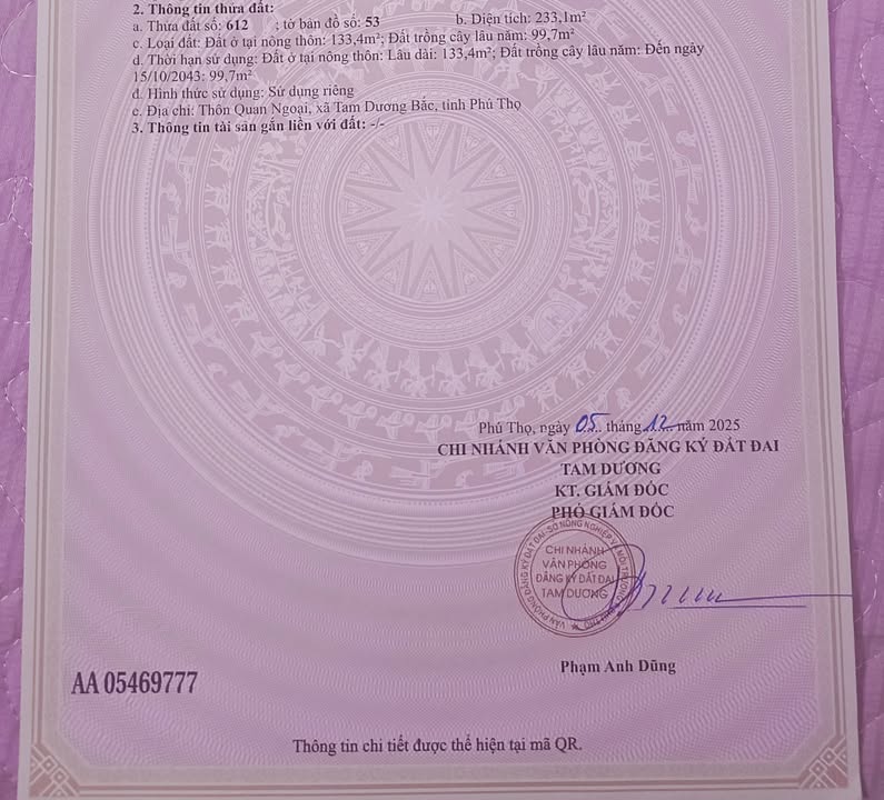 Đất kinh doanh tại chợ Tam Quan Tam Đảo 233m² giá chỉ 1 tỷ - Cơ hội đầu tư hấp dẫn!