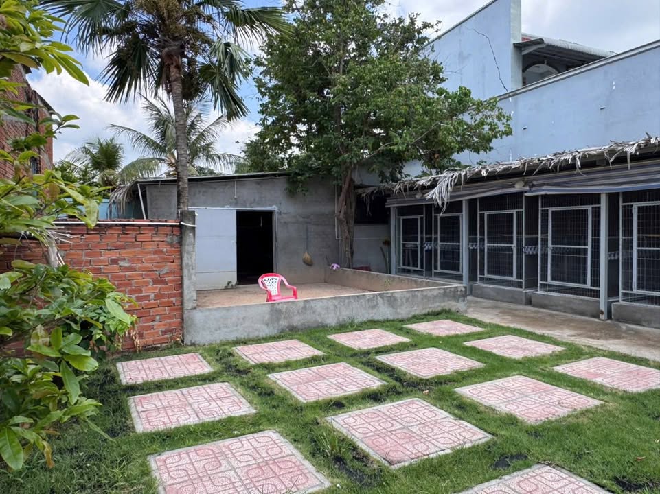 Nhà vườn mặt tiền Ao Bà Sáu, Cần Đước 750m² giá 7 tỷ - Chính chủ bán gấp!
