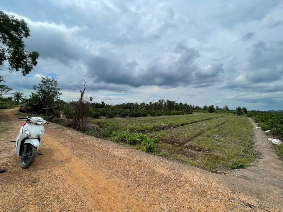 Đất vườn Lương Hòa Bến Lức 4554m² giá 1.15 tỷ - Cơ hội đầu tư sinh lời!