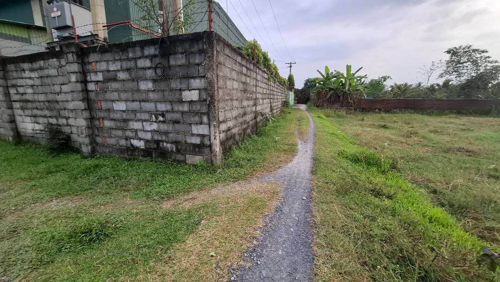 Đất nền Đức Hòa Thượng Long An 236m² giá 1.2 tỷ - Khu dân cư hiện hữu