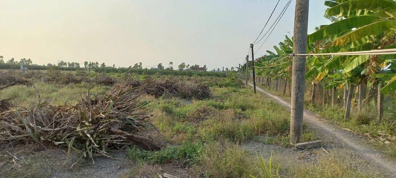 Đất nền 1000m² xã Phước Tân Hưng, Châu Thành, Long An - Giá chỉ 489 triệu thương lượng!