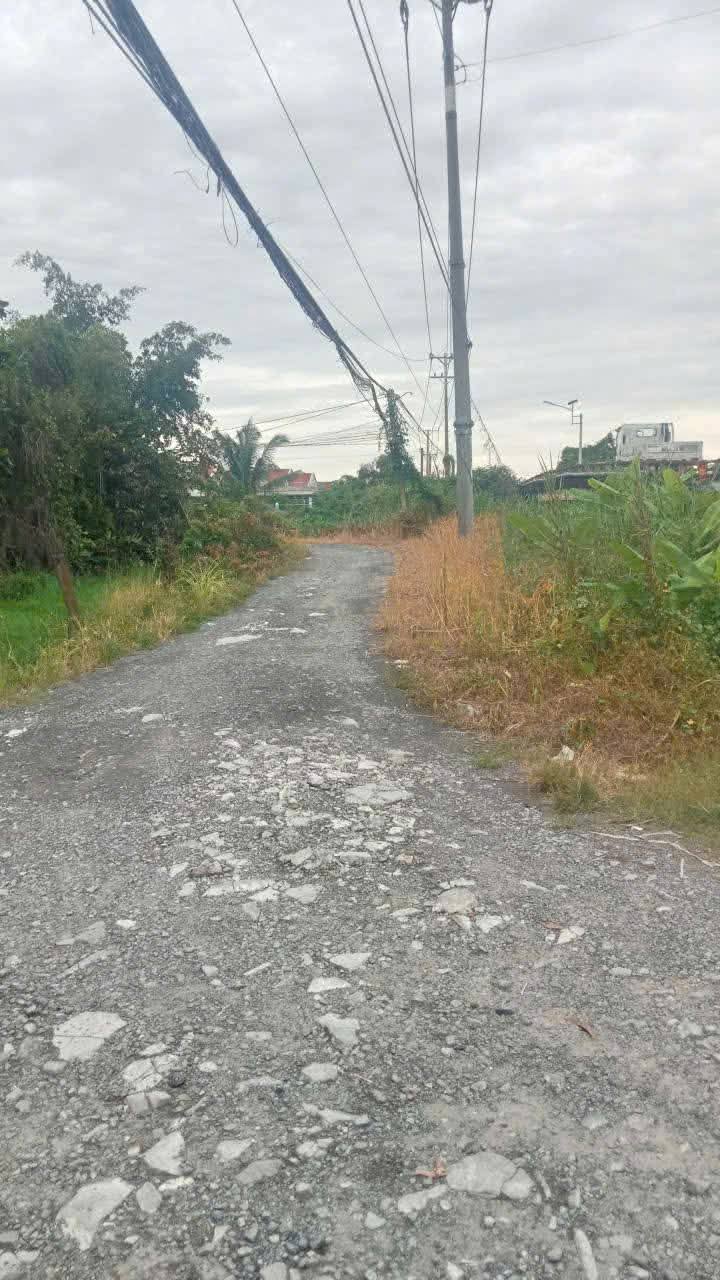 Đất thổ vườn 2231m² tại Ấp 6, Thạnh Lợi, Bến Lức - Giá 3.5 tỷ, đầu tư hấp dẫn!